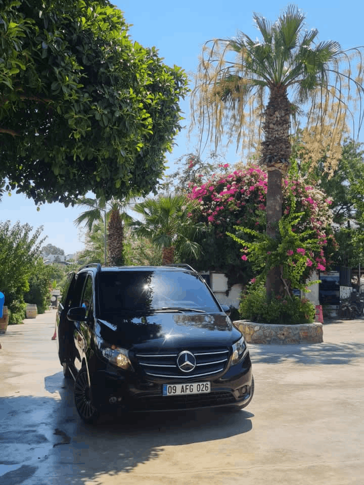 signatureviptransfer